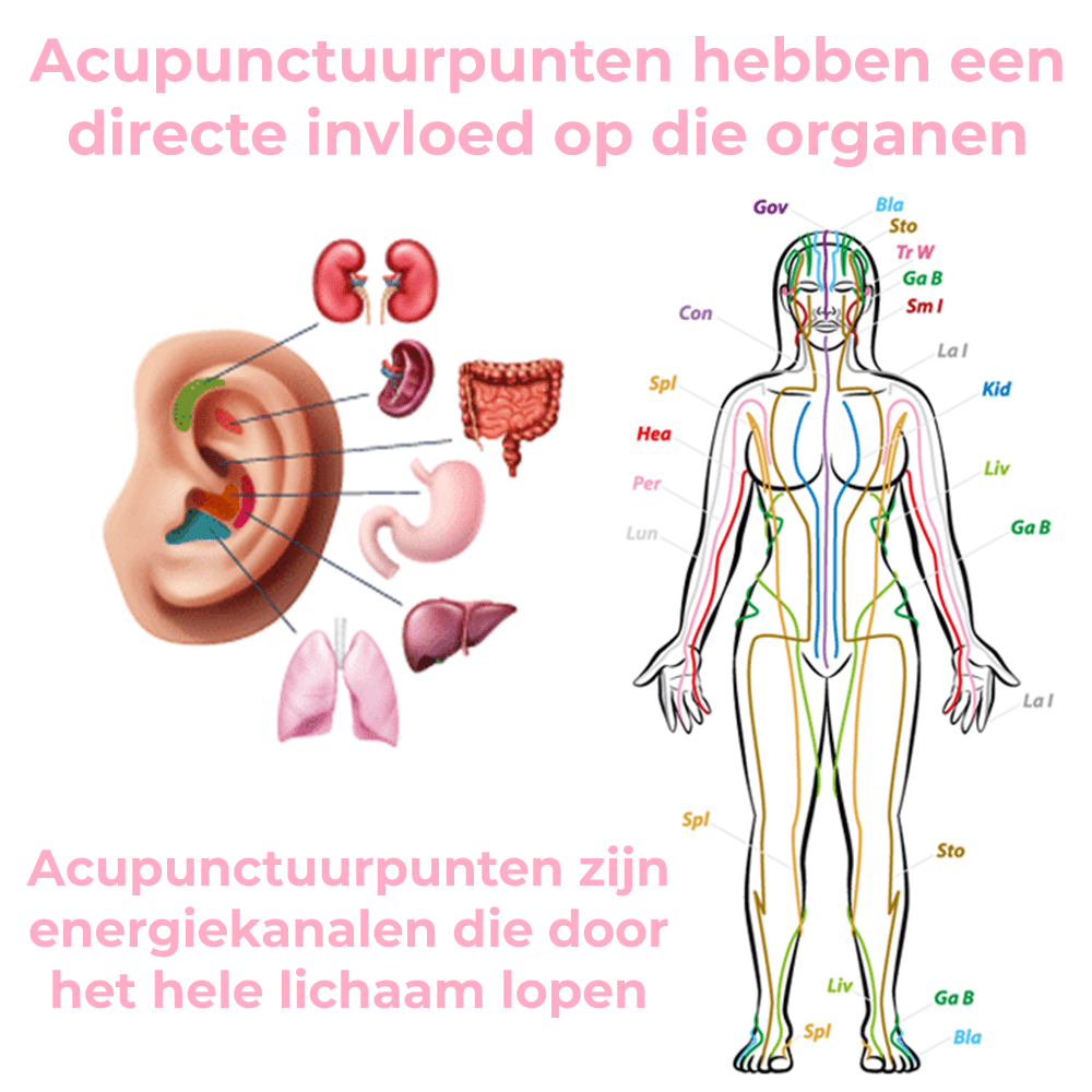 PetalTrim™ | Germanium Afslankoorbellen